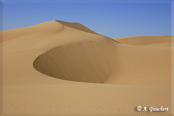 Big Dunes